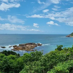 Alquimias Do Rosa Brasil